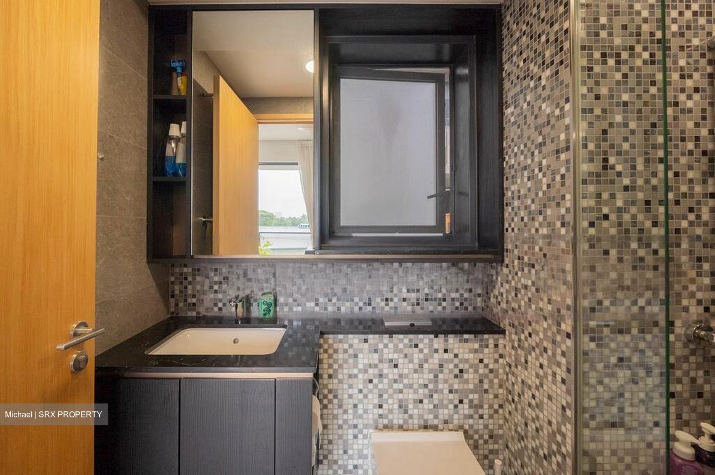 The Antares (D14), Apartment #472662011